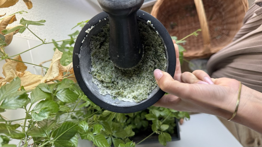 Essbare Wildnis - Erlebniskochkurs - &copy; ich-bin-gesund-Zentrum