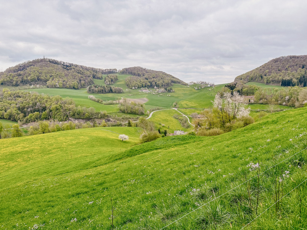 Oberhöfler Wanderwege: Wittelweiher-Route (lang) - &copy; Patrik Walde, Patrik Walde