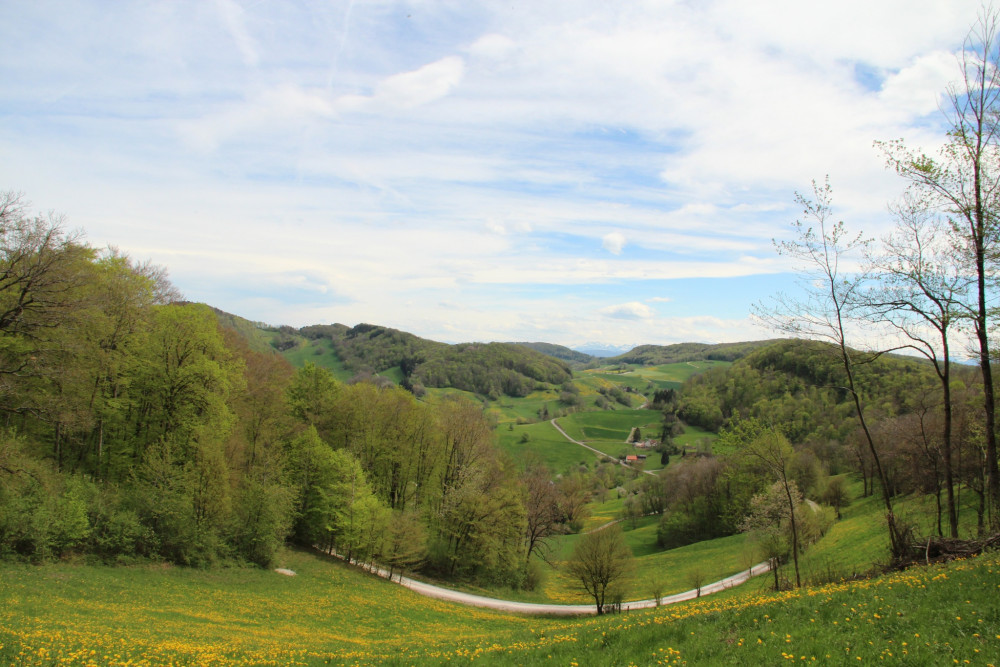Oberhöfler Wanderwege: Glögglifrosch-Route (lang) - © Jurapark Aargau