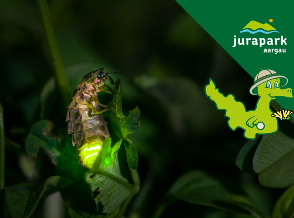 Perimuk-Abenteuer: Glühwürmchen - &copy; Stéphane Vitzthum