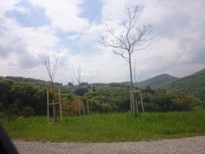 37. Vereinsversammlung des Trägervereins Jurapark Aargau - &copy; Jurapark Aargau