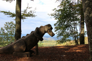 Waldminigolf - © Jurapark Aargau