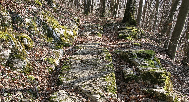 Wanderung auf dem Römerweg - © Jurapark Aargau