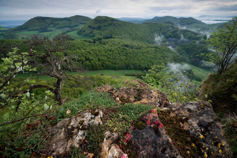 Jura-Höhenweg zur Wasserflue - &copy; Renato Bagattini