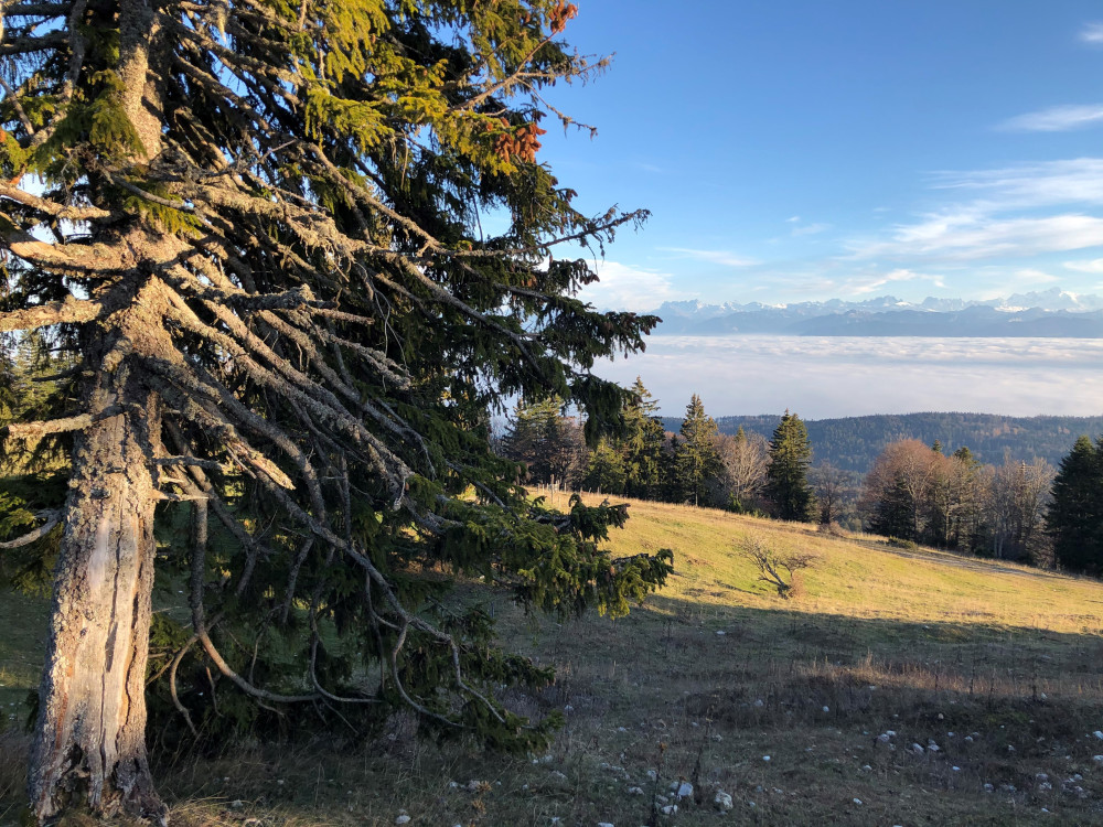 Parc Jura vaudois