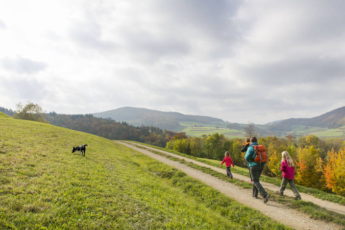 Natura Trail Jurapark Aargau 2: Gisliflue und Wasserflue - © Jurapark Aargau, Naturfreunde Schweiz