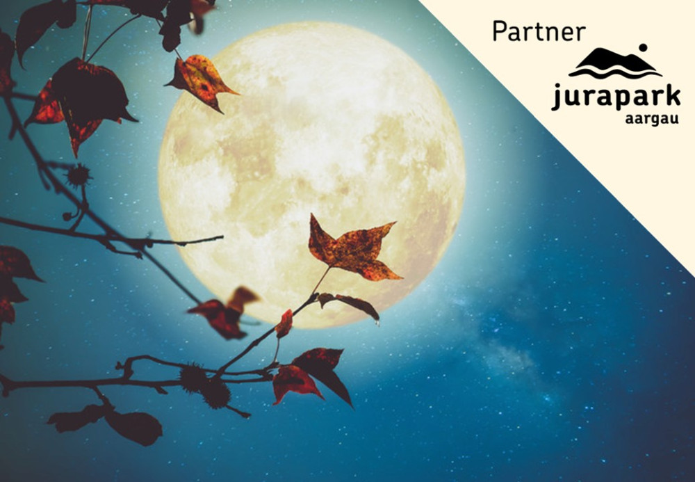 Beaver Moon - Ladys Night - © Stephanie Lieb