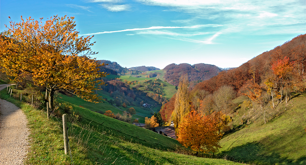 Über die Burg - © Peter Reinhardt