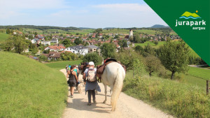 Inklusives Pferde-Trekking im Jurapark Aargau