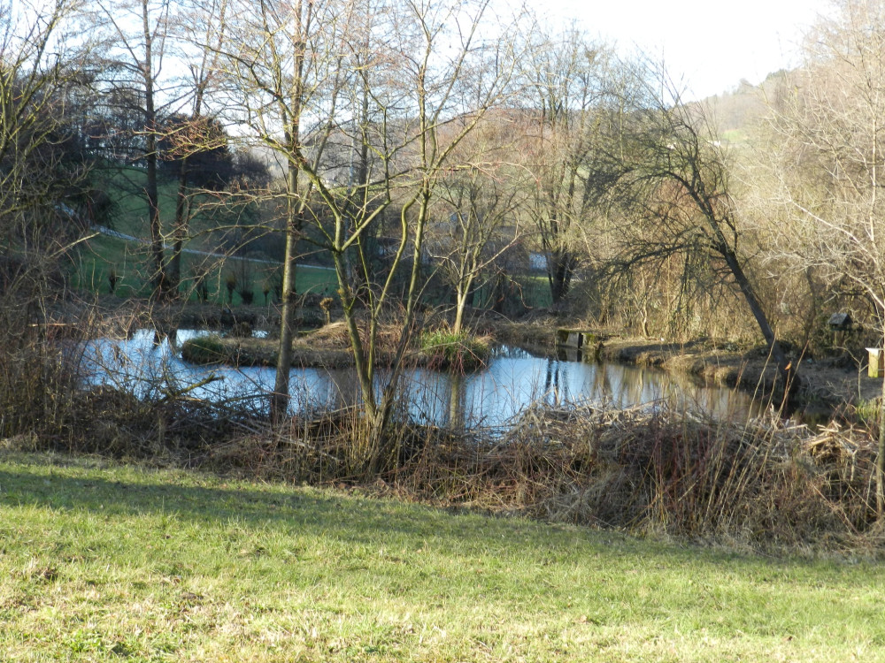 Spur zur Natur: Löör-Spur - © Peter Bircher