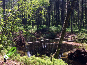 Sentier de la Sagne, Le Sentier (Vallée de Joux)