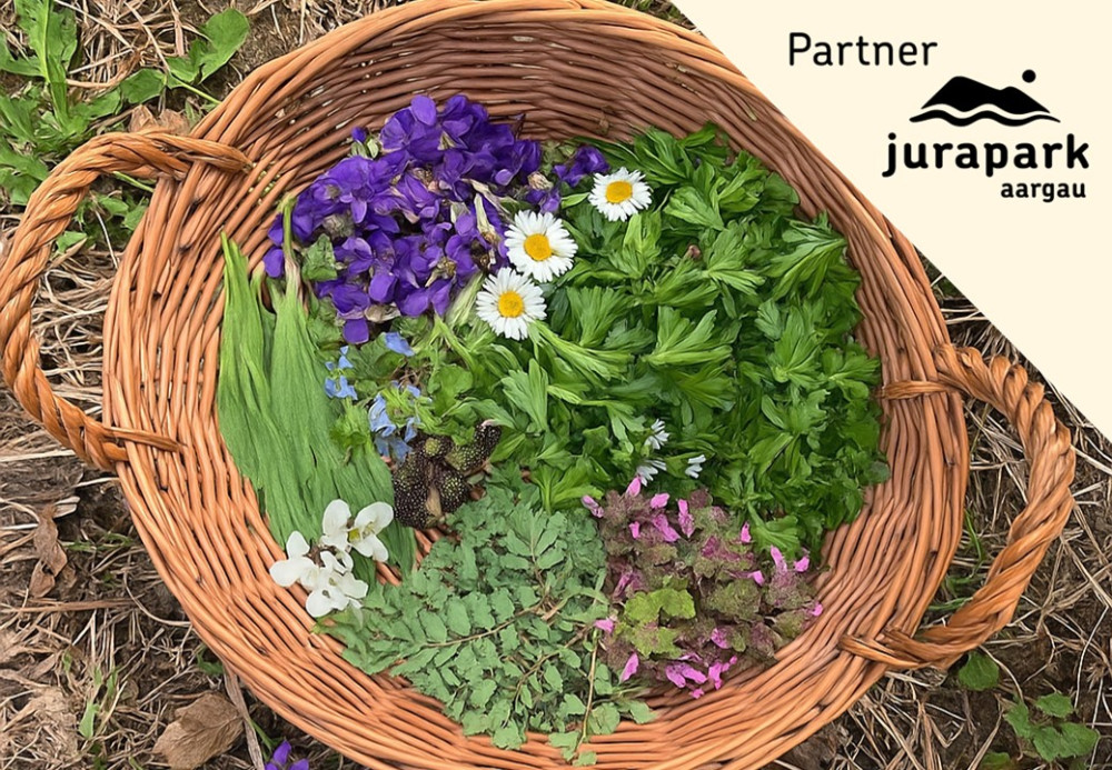 Wilde Pflanzen - vom Sammeln zum Schlemmen - © Anita Huber-Bubendorf