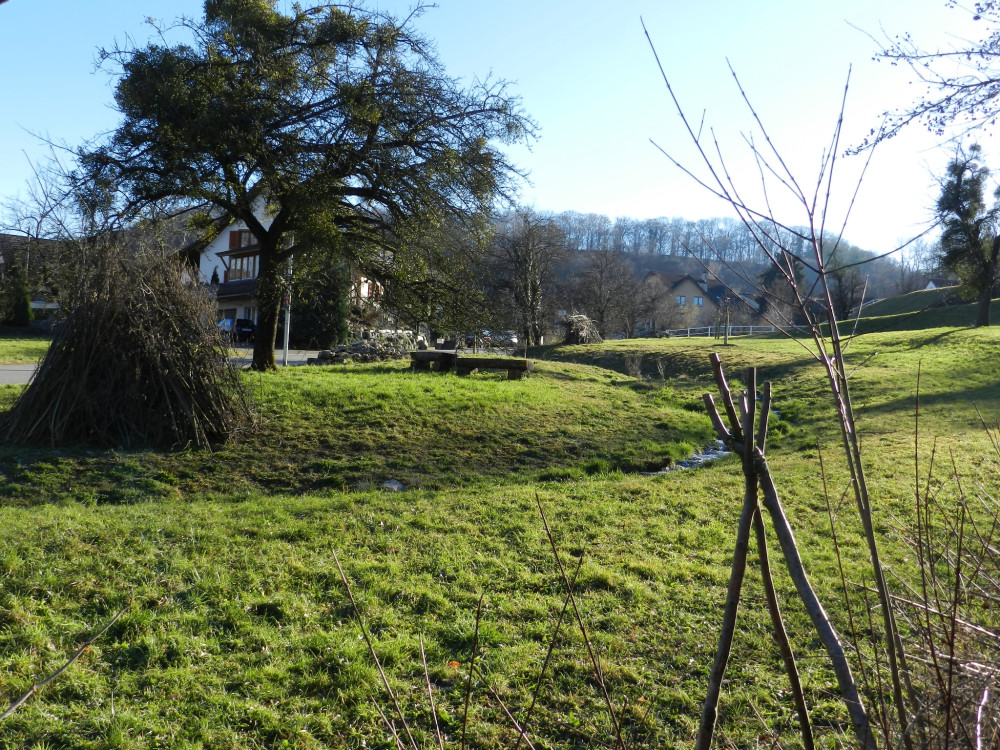 Spur zur Natur: Schlucht-Spur - © Peter Bircher