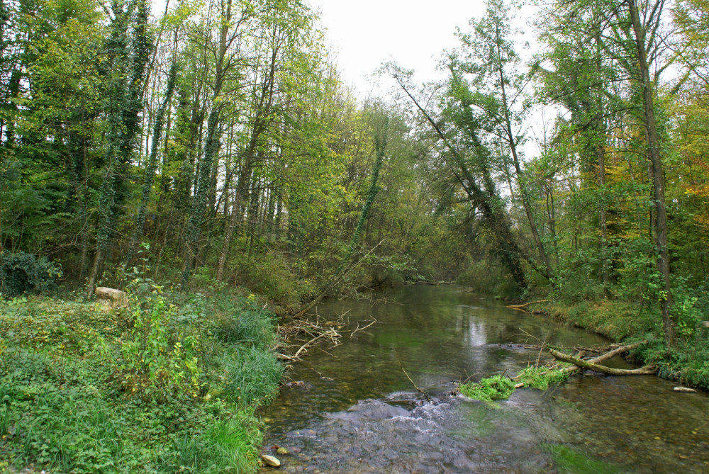 Flusswanderung: Auenlandschaft Aarau-Biberstein - © Jurapark Aargau