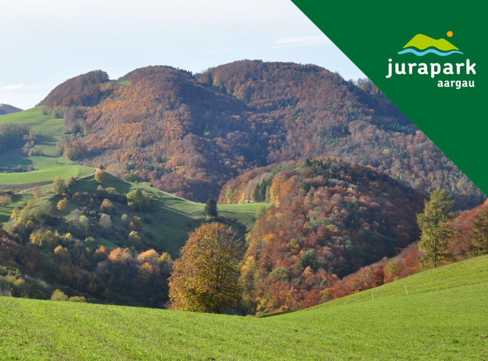 Landschaft lesen und erleben - Geschichte, Wandel, Bedeutung - &copy; Christine Neff