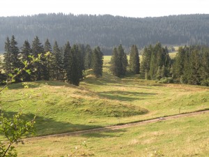 Parc Jura vaudois