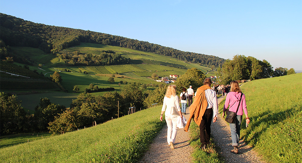 Natura Trail Jurapark Aargau 1: Linner Linde - Ruine Schenkenberg - Gisliflue - © Jurapark Aargau