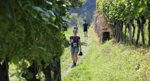 Jurapark-Weinwanderung 2022 (Sonntag)